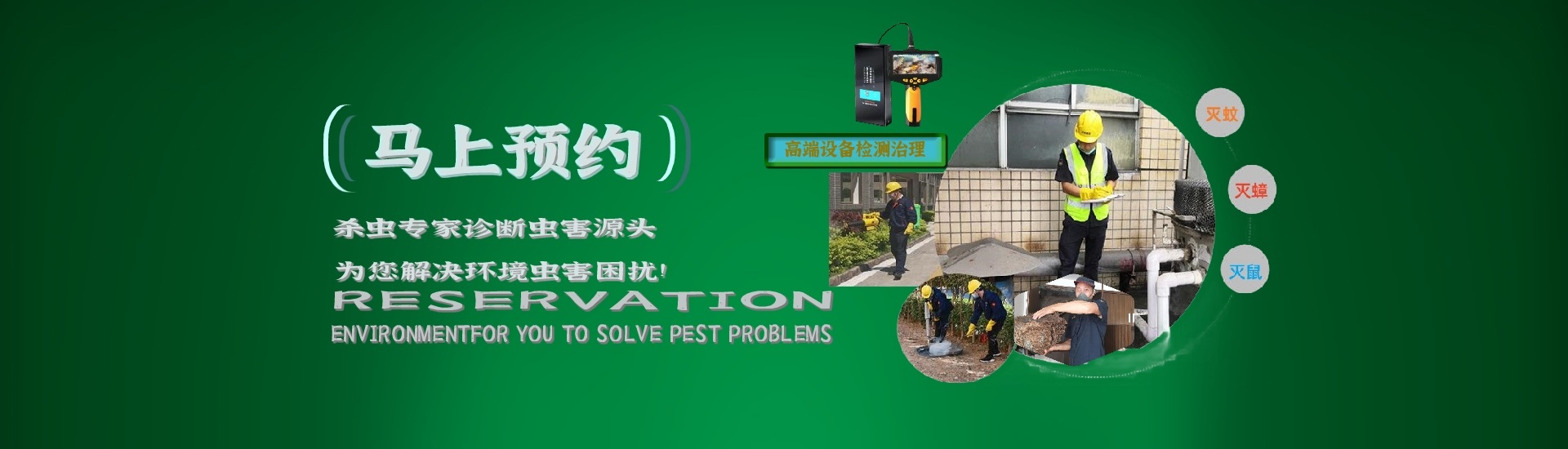 惠陽白蟻防治,惠東防治白蟻,博羅白蟻防治,大亞灣白蟻防治